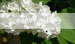 玩手机知乎（玩手机？）