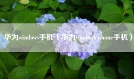 华为windows手机（华为windows phone手机）