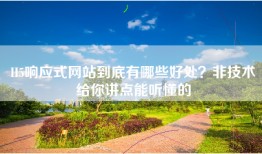 H5响应式网站到底有哪些好处？非技术给你讲点能听懂的