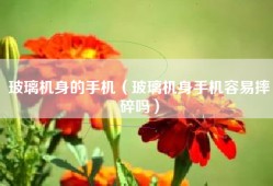 玻璃机身的手机（玻璃机身手机容易摔碎吗）