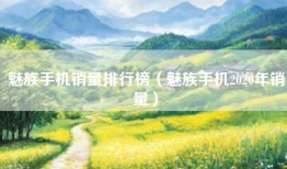 魅族手机销量排行榜（魅族手机2020年销量）