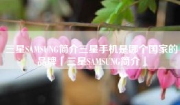 三星SAMSUNG简介三星手机是哪个国家的品牌「三星SAMSUNG简介」