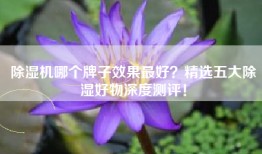 除湿机哪个牌子效果最好？精选五大除湿好物深度测评！