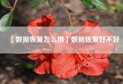【数据恢复怎么用】数据恢复好不好