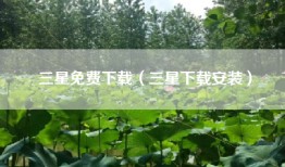 三星免费下载（三星下载安装）