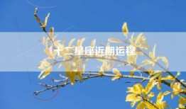 十二星座近期运程
