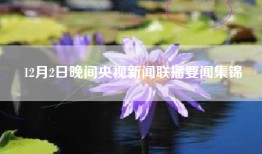 12月2日晚间央视新闻联播要闻集锦
