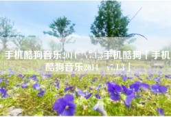手机酷狗音乐2014   v7.1.3手机酷狗「手机酷狗音乐2014   v7.1.3」