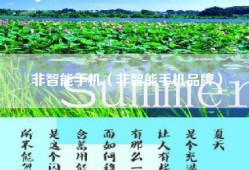 非智能手机（非智能手机品牌）
