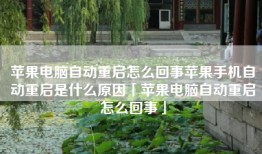苹果电脑自动重启怎么回事苹果手机自动重启是什么原因「苹果电脑自动重启怎么回事」