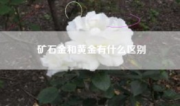 矿石金和黄金有什么区别