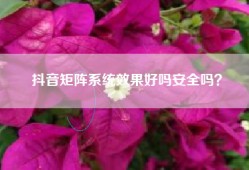 抖音矩阵系统效果好吗安全吗？
