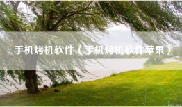 手机烤机软件（手机烤机软件苹果）