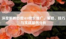 深度解析百度SEO竞价推广，策略、技巧与实战案例分析