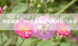 深度揭秘，SEO优化策略与实战技巧全攻略