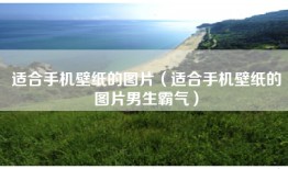 适合手机壁纸的图片（适合手机壁纸的图片男生霸气）