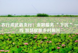 农行成武县支行：金融服务 ＂下沉＂ 一线 智慧赋能乡村振兴