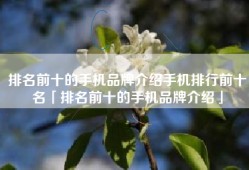 排名前十的手机品牌介绍手机排行前十名「排名前十的手机品牌介绍」
