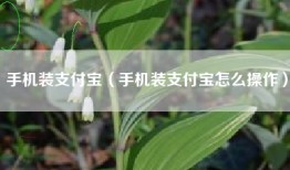 手机装支付宝（手机装支付宝怎么操作）