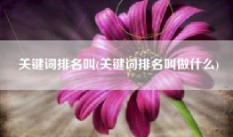 关键词排名叫(关键词排名叫做什么)