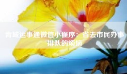 青城运事通微信小程序：省去市民办事排队的烦恼
