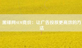 黑锋网SEM竞价：让广告投放更高效的方法