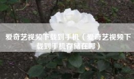 爱奇艺视频下载到手机（爱奇艺视频下载到手机存储在哪）