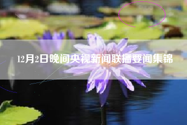 12月2日晚间央视新闻联播要闻集锦