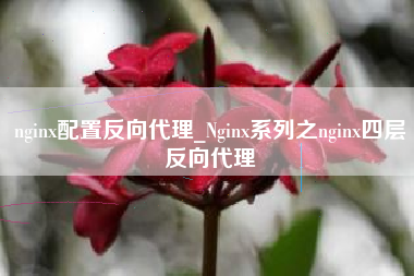 nginx配置反向代理_Nginx系列之nginx四层反向代理