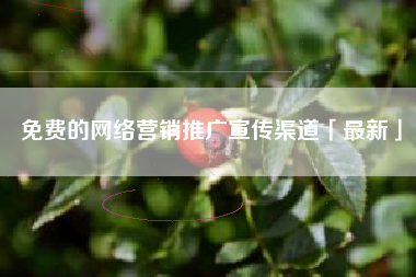 免费的网络营销推广宣传渠道「最新」