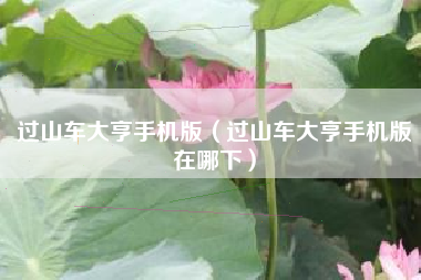 过山车大亨手机版（过山车大亨手机版在哪下）