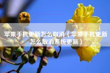 苹果手机更新怎么取消（苹果手机更新怎么取消系统更新）