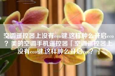 空调遥控器上没有eco键,这样肿么开启eco?美的空调手机遥控器「空调遥控器上没有eco键,这样肿么开启eco?」 空调遥控器上没有eco键,这样肿么开启eco?美的空调手机遥控器「空调遥控器上没有eco键,这样肿么开启eco?」