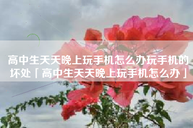 高中生天天晚上玩手机怎么办玩手机的坏处「高中生天天晚上玩手机怎么办」