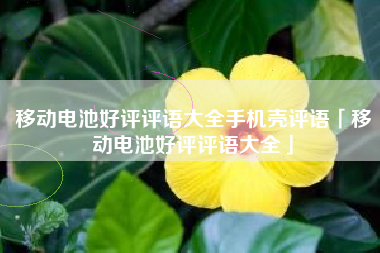 移动电池好评评语大全手机壳评语「移动电池好评评语大全」