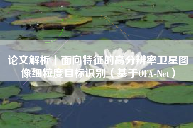 论文解析丨面向特征的高分辨率卫星图像细粒度目标识别（基于OFA-Net）